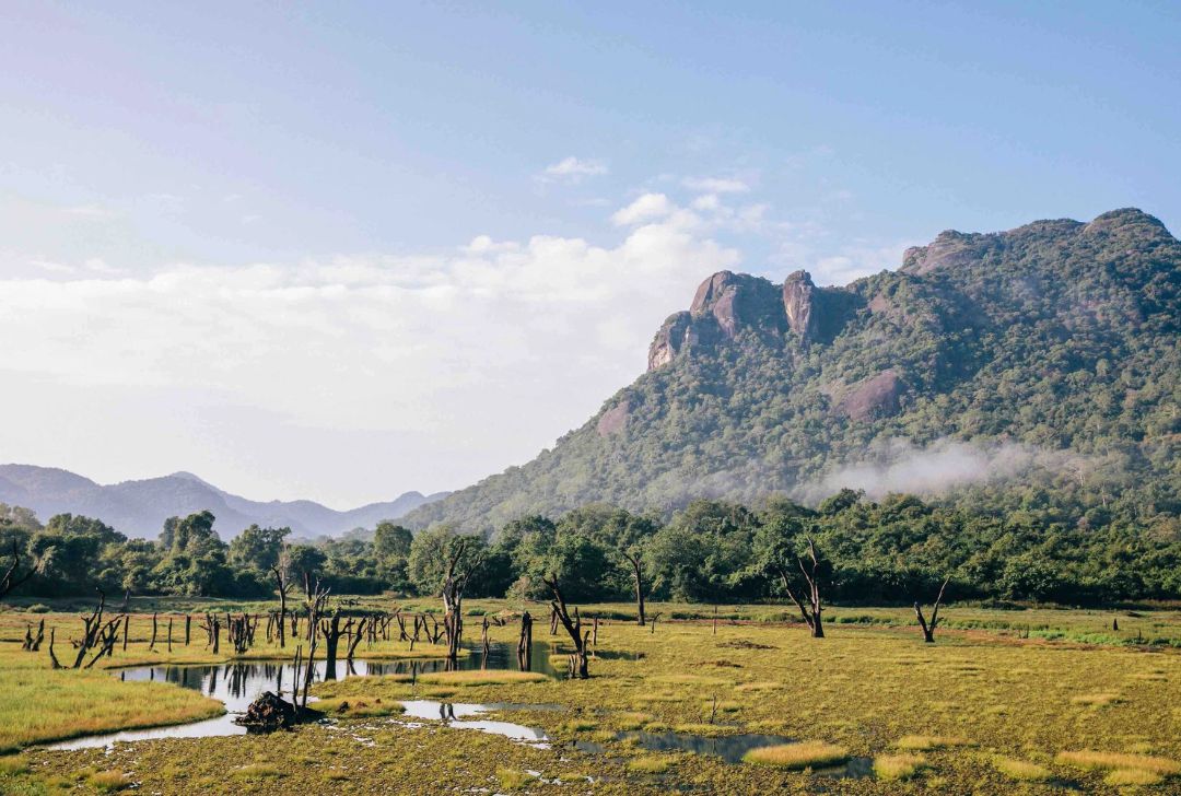 Gal Oya National Park
