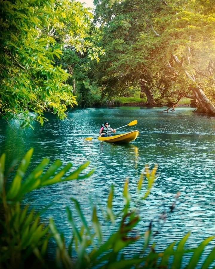 Kayaking Adventure in Kandalama Lake