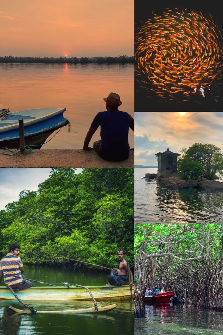 Exploring Sri Lankan Waterways and Wildlife
