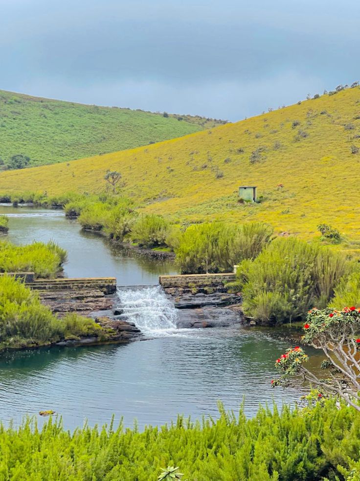The Wetlands of Horton Plains National Park