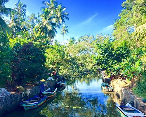 1-Day City Tour in Negombo